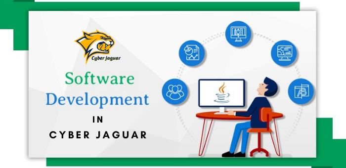 Software Development Services